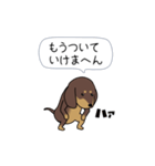 極・激しく尻尾をふるダックス 2（個別スタンプ：15）