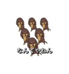 極・激しく尻尾をふるダックス 2（個別スタンプ：16）