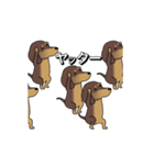 極・激しく尻尾をふるダックス 2（個別スタンプ：18）