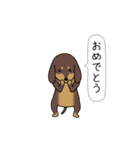 極・激しく尻尾をふるダックス 2（個別スタンプ：19）