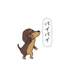極・激しく尻尾をふるダックス 2（個別スタンプ：22）