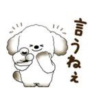 犬さん 2025 「リアクション」（個別スタンプ：12）