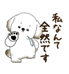 犬さん 2025 「リアクション」（個別スタンプ：19）
