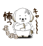 犬さん 2025 「リアクション」（個別スタンプ：27）
