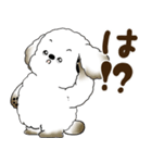 犬さん 2025 「リアクション」（個別スタンプ：30）