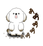 犬さん 2025 「リアクション」（個別スタンプ：34）