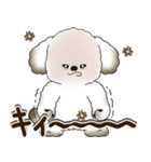 犬さん 2025 「リアクション」（個別スタンプ：35）