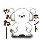 犬さん 2025 「リアクション」（個別スタンプ：36）