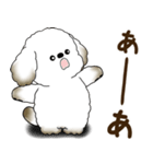 犬さん 2025 「リアクション」（個別スタンプ：37）