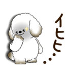 犬さん 2025 「リアクション」（個別スタンプ：38）