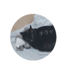くろろと石山（個別スタンプ：6）