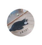 くろろと石山（個別スタンプ：8）