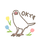 文鳥さんたちの日常会話（個別スタンプ：1）
