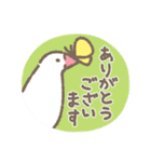 文鳥さんたちの日常会話（個別スタンプ：4）