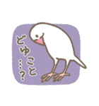 文鳥さんたちの日常会話（個別スタンプ：11）