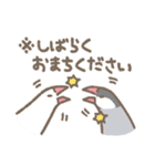 文鳥さんたちの日常会話（個別スタンプ：12）