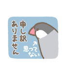 文鳥さんたちの日常会話（個別スタンプ：13）