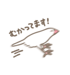 文鳥さんたちの日常会話（個別スタンプ：14）