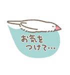 文鳥さんたちの日常会話（個別スタンプ：15）