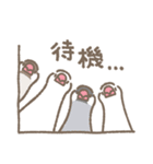 文鳥さんたちの日常会話（個別スタンプ：19）