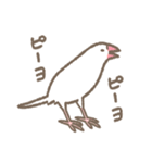 文鳥さんたちの日常会話（個別スタンプ：34）