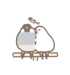 文鳥さんたちの日常会話（個別スタンプ：39）