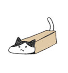ゆるゆーる猫スタンプ（個別スタンプ：14）