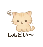 ゆるふわ可愛いねこスタンプ（個別スタンプ：16）