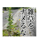 雑草による雑草魂！！（個別スタンプ：25）