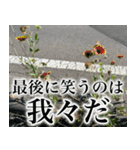 雑草による雑草魂！！（個別スタンプ：31）