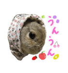 ぼくはうさぎ9（個別スタンプ：2）