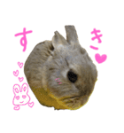 ぼくはうさぎ9（個別スタンプ：11）