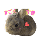 ぼくはうさぎ9（個別スタンプ：12）