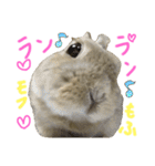 ぼくはうさぎ9（個別スタンプ：16）