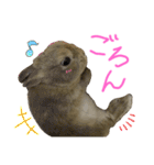 ぼくはうさぎ9（個別スタンプ：28）