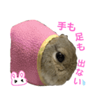 ぼくはうさぎ9（個別スタンプ：30）