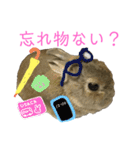 ぼくはうさぎ9（個別スタンプ：31）