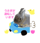ぼくはうさぎ9（個別スタンプ：32）