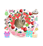 ぼくはうさぎ9（個別スタンプ：39）