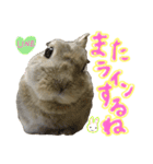 ぼくはうさぎ9（個別スタンプ：40）
