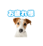 jacknana（個別スタンプ：3）