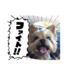 チョビ▪️マメ▪️ツブ（個別スタンプ：4）