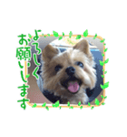 チョビ▪️マメ▪️ツブ（個別スタンプ：7）