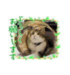 チョビ▪️マメ▪️ツブ（個別スタンプ：9）