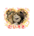 チョビ▪️マメ▪️ツブ（個別スタンプ：12）