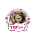 チョビ▪️マメ▪️ツブ（個別スタンプ：15）