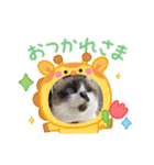 チョビ▪️マメ▪️ツブ（個別スタンプ：17）
