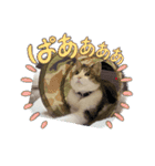 チョビ▪️マメ▪️ツブ（個別スタンプ：18）