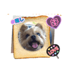 チョビ▪️マメ▪️ツブ（個別スタンプ：28）