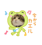 チョビ▪️マメ▪️ツブ（個別スタンプ：39）